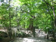 竃門神社